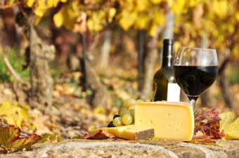 wine and cheese in a vineyard